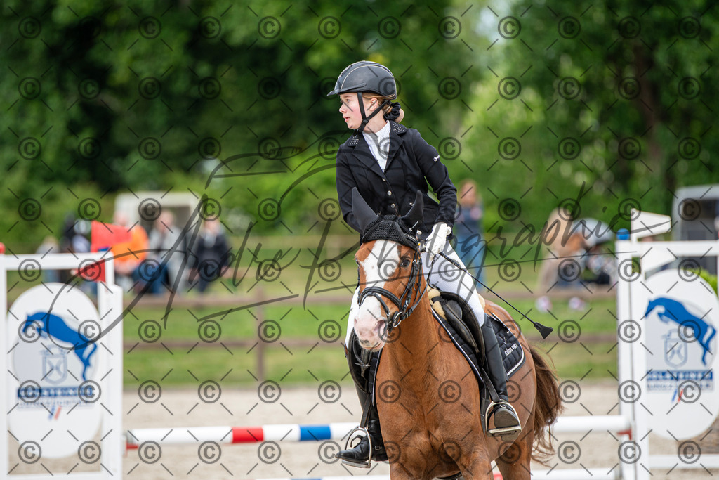 KPT_6295 | andre_photographic