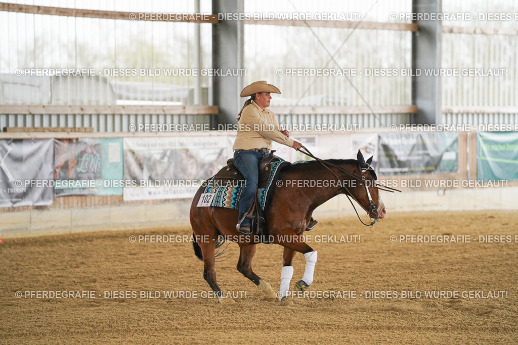 DSC07073 | Pferdegrafie