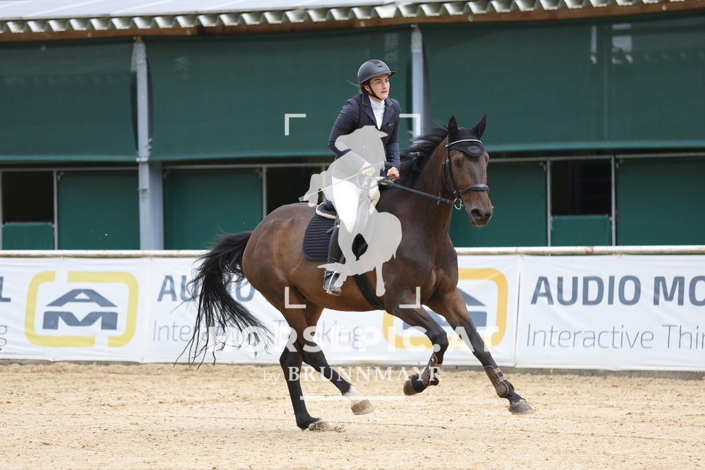 0P6A3259 | Willkommen bei Brunnmayr - Design & Fotografie – Ihrem Spezialisten für Reitturniere und Pferdeveranstaltungen in Oberösterreich, Salzburg und Bayern! Seit über 17 Jahren sind wir leidenschaftlich dabei.