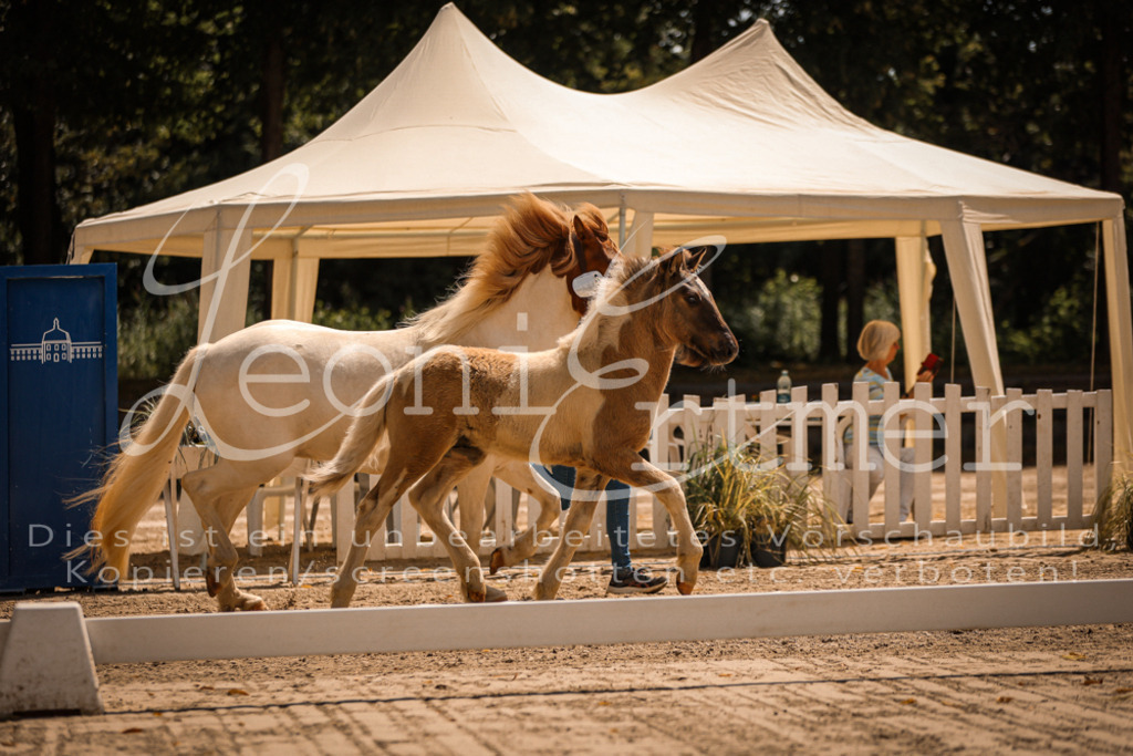 02.DoSR00011 | Leoni Ertmer Photography - Realisiert mit Pictrs.com