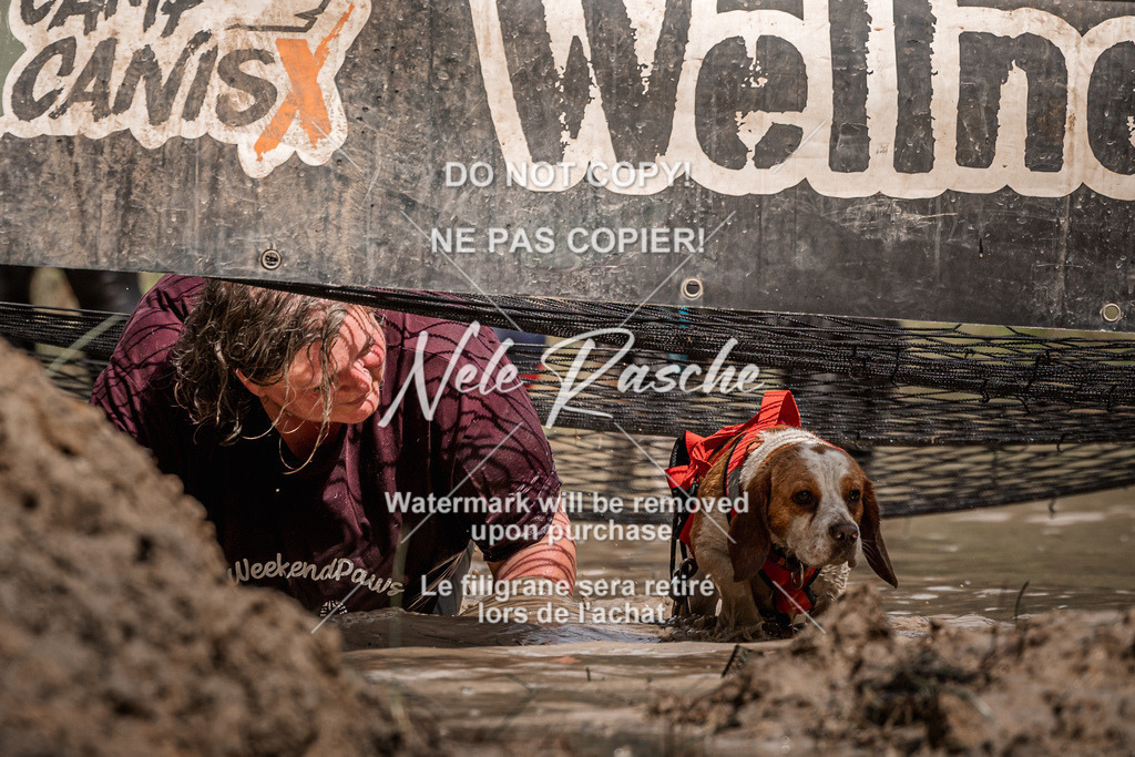 nelerasche_Hoope2026_Sa1100-1130_162 | nelerasche