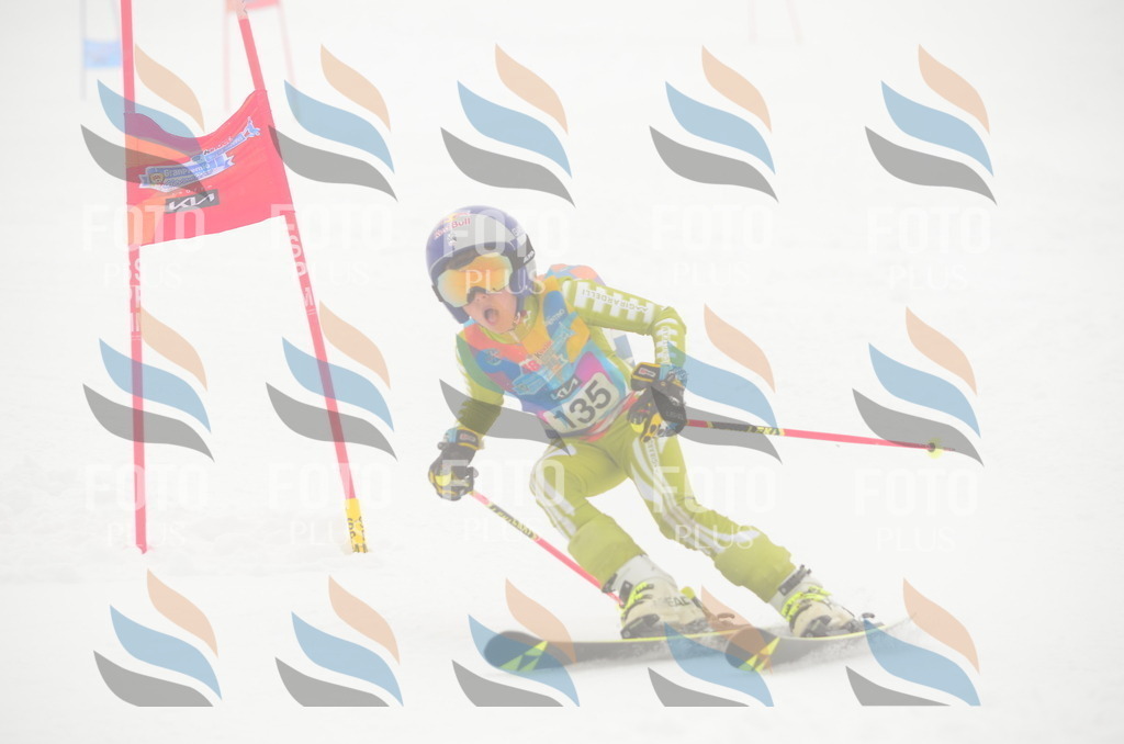 C1668 | holidayphoto