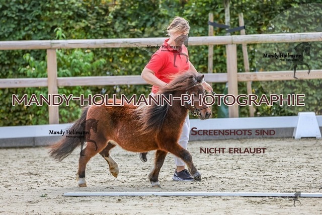 2-15 | mandyhollmannphotographie