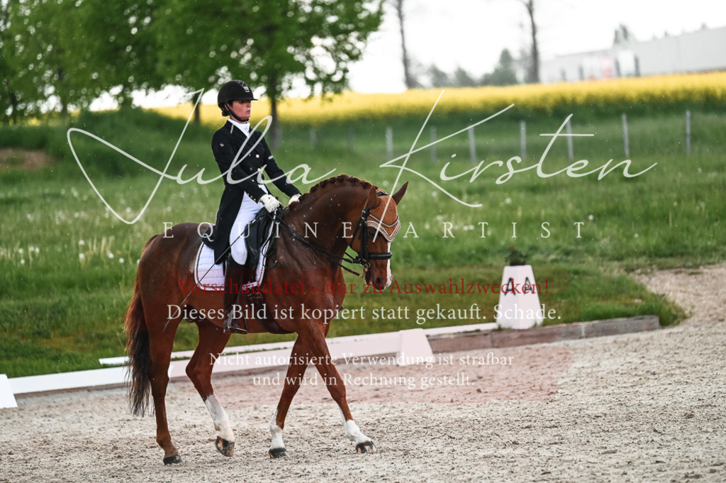 20230514_JK-Röhrsdorf-21-582 | Pferde- und Turnierfotografie in Westsachsen. Pferdeportraits, Auftragszeichnungen und intuitive Kunst.