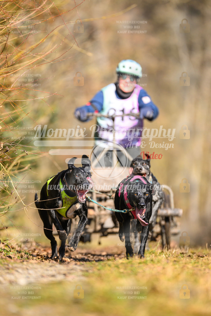MompixPhotography_Schwabentrail2025_SO_Kart-22 | PayLife