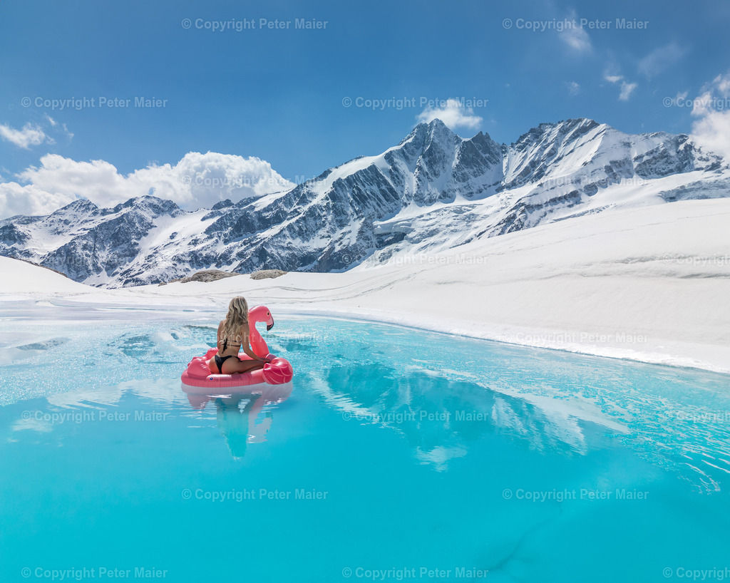 Flamingo_Gletscher-247 | piet_flosse