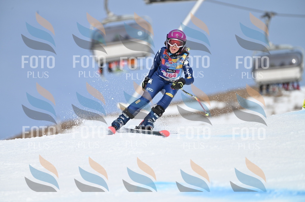 BGV_0331 | holidayphoto