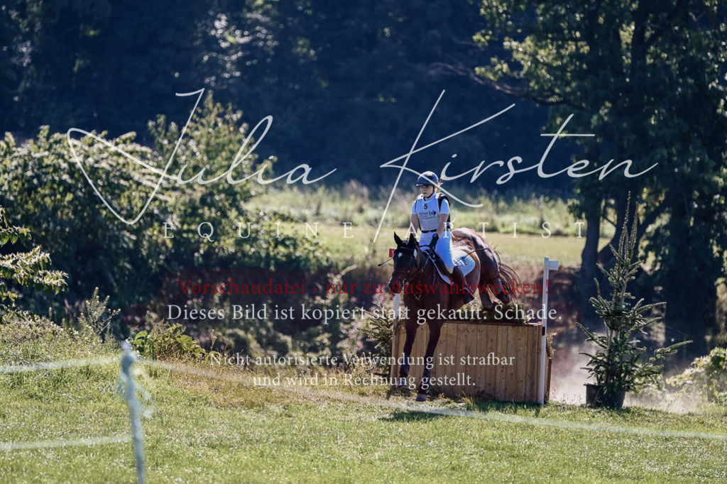 DSC_1488 | Pferde- und Turnierfotografie in Westsachsen. Pferdeportraits, Auftragszeichnungen und intuitive Kunst.