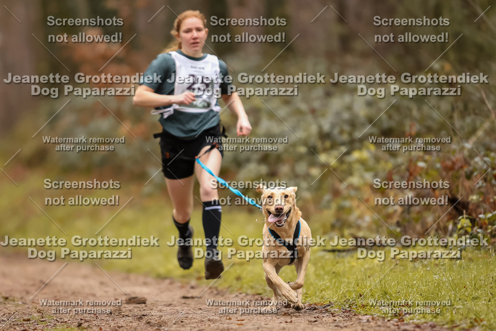 Dog Paparazzi - Speedhunter Mannheim  2025-65 | Dog Paparazzi Jeanette Grottendiek Fotografie & Videografie