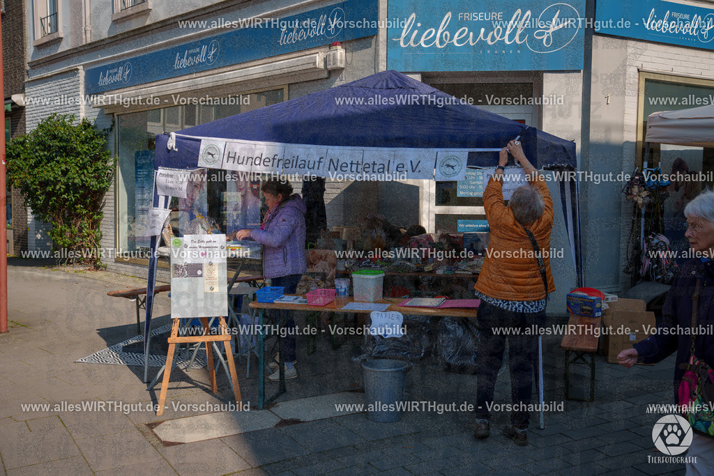Pfötchenmarkt Nettetal-Lobberich 2026 - Nettetal-Tag - Daniel Wirth - www.allesWIRTHgut.de - @allesWIRTHgut_Tierfotografie 7R507657 | Professionelle Tierfotografie in Mönchengladbach von Daniel Wirth (allesWIRTHgut). Liebevolle & natürliche Bilder von Hunden & Katzen für unvergessliche Erinnerungen.