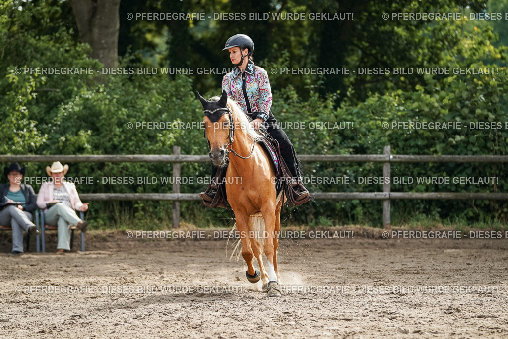 DSC03467 | Pferdegrafie