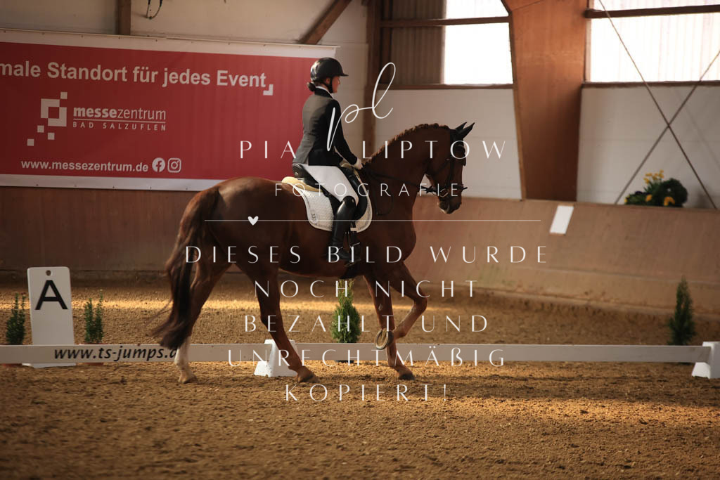 IMGT7797 | pl-fotografie