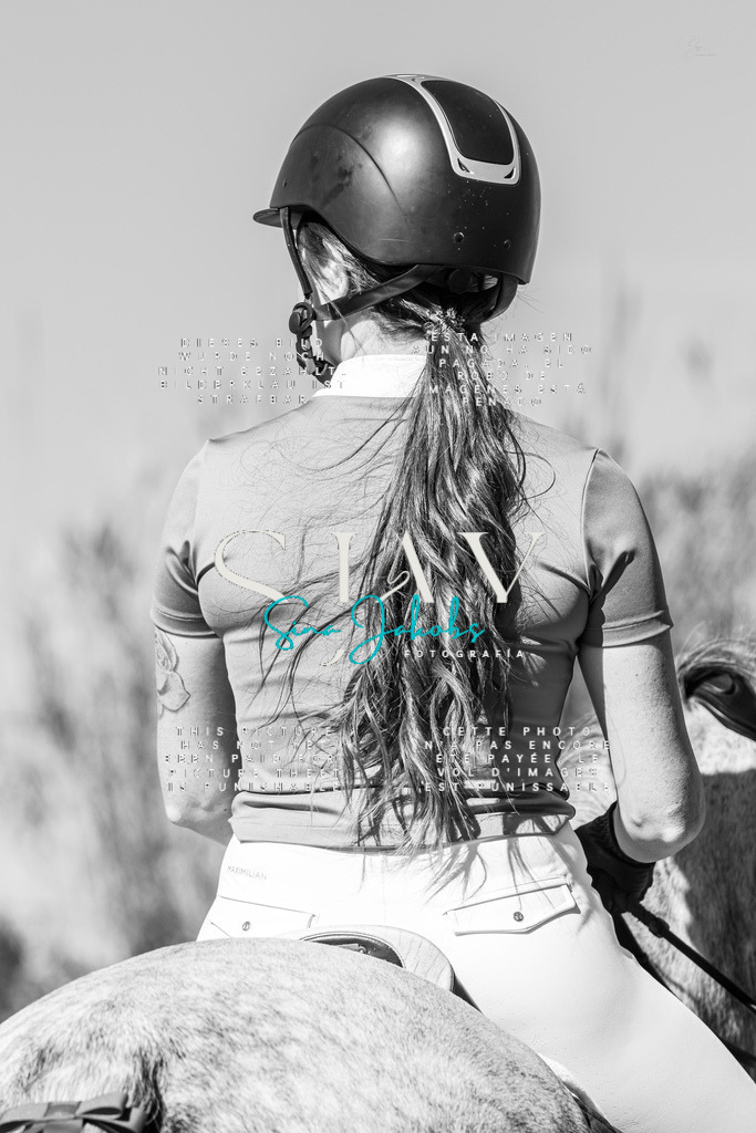 IMG_1118 | s-jay-photography - Realisiert mit Pictrs.com