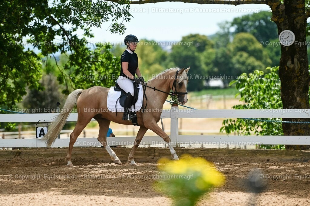 20230715_09_Dressur-WB_0513 | equistock