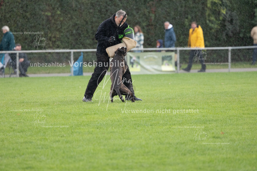 _16A7151 | Einzigartige Fotos von Hunden & Menschen –Actionfotos, Portraits, Vereinsaufnahmen & Paarshootings – authentisch, lebendig & mit Herz.