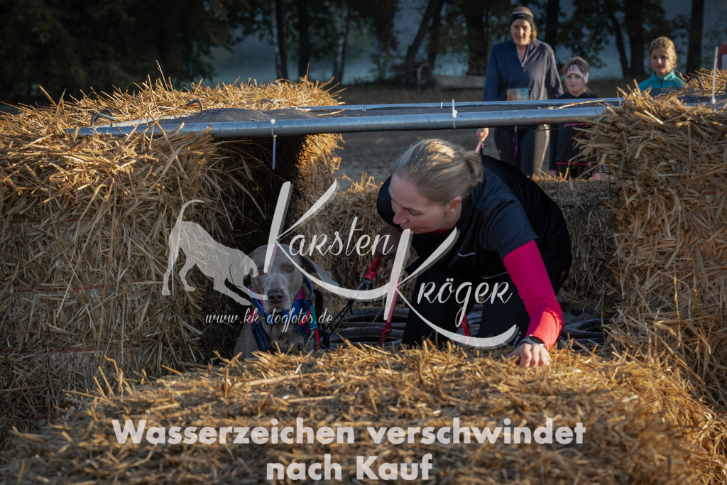 0908_ZZ91567 | kk-dogfotos