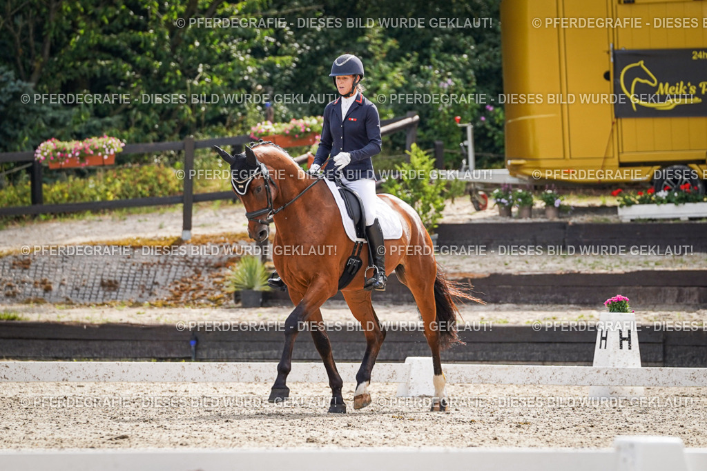 DSC07492 | Pferdegrafie