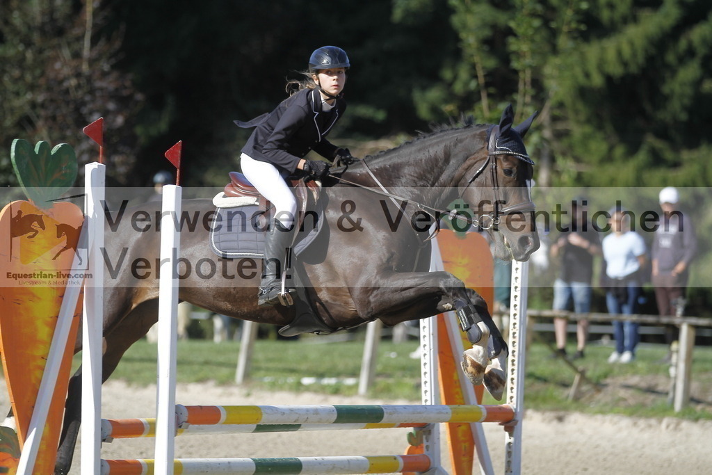 _MG_4186 | equestrian-live-com