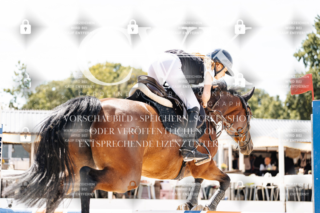 CK908059 | Turnierfotografie Pferdefotografie Trier Rheinland-Pfalz Pferdesport Reitsport Tierfotografie Sportfotografie Pferdevideo Pferdevideografie Equestrianvideography equestrianphotography  - Realisiert mit Pictrs.com