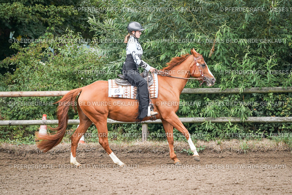 DSC01984 | Pferdegrafie