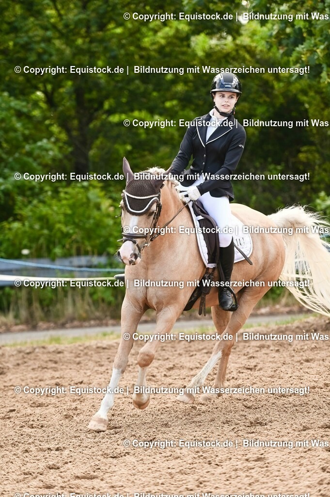 20230716_04_Dressurreiterprüfung Kl.A_0385 | equistock