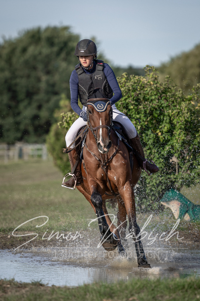 20250907-_3LI8716 | Tierfotografie Pferde, Hunde, Katzen, Haustiere.
Turnierfotografie Reitturniere, Reiten, Springreiten, Dressur in Hanau, dem Main-Kinzig-Kreis und dem Rhein-Main- Gebiet um Frankfurt