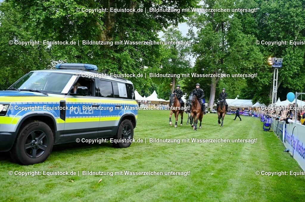 20250606_Lange-Pferdenacht_0720 | Foto: Thomas Hartig
