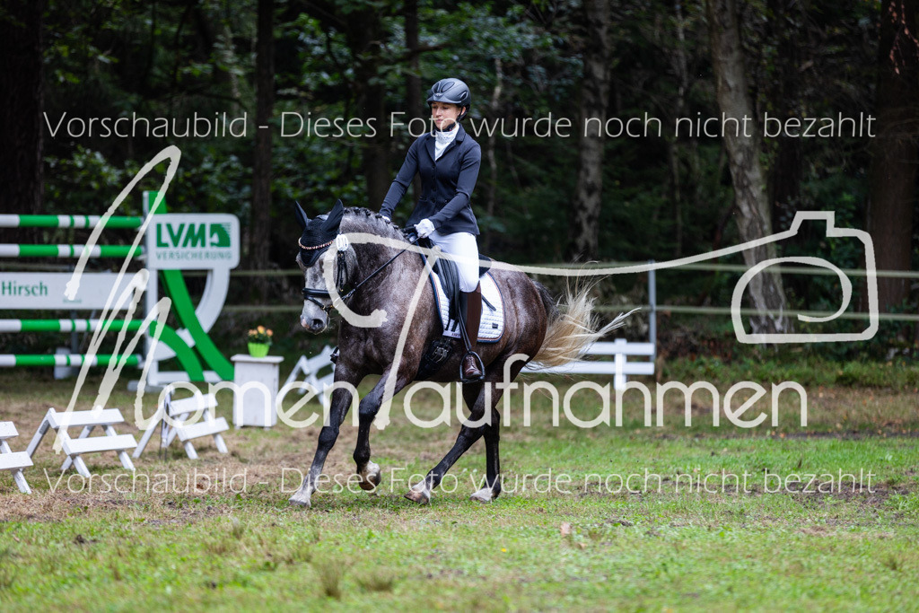 HB-A-Dressur-077 | MomenTaufnahmen Pferdesportfotos