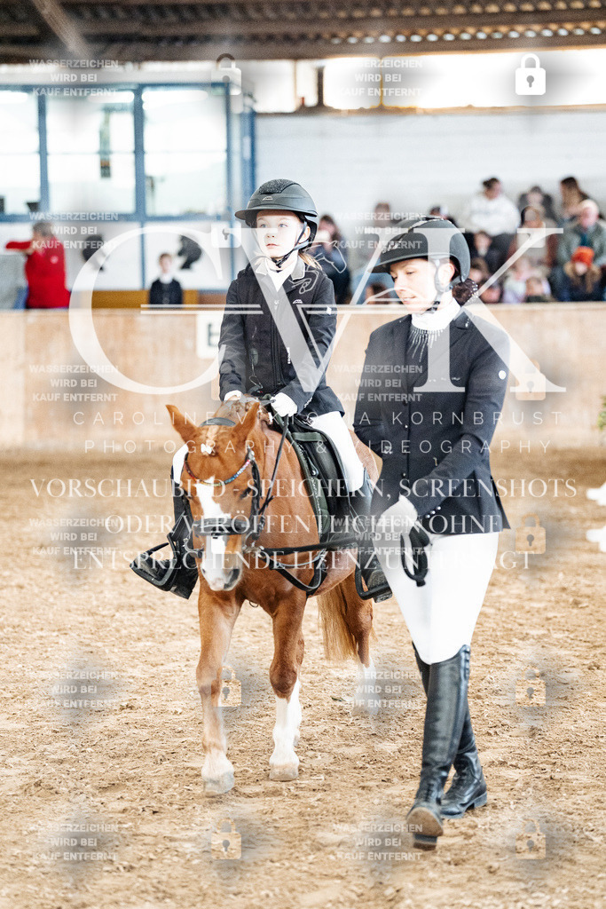 CK905649 | Turnierfotografie Pferdefotografie Trier Rheinland-Pfalz Pferdesport Reitsport Tierfotografie Sportfotografie Pferdevideo Pferdevideografie Equestrianvideography equestrianphotography  - Realisiert mit Pictrs.com