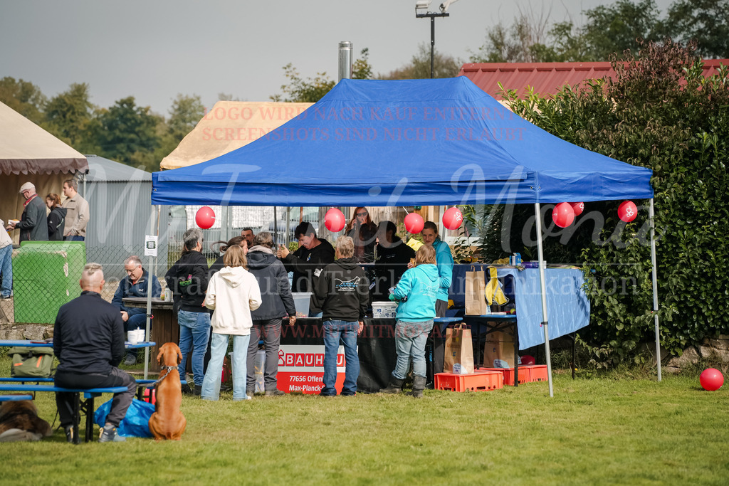 20250928_Hunderennen-353 | MuT (Mensch und Tier) mit Mona - Fotografie und Tierkommunikation - Realisiert mit Pictrs.com