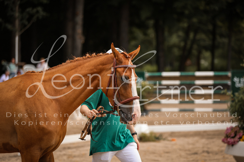 05.So00037 | Leoni Ertmer Photography - Realisiert mit Pictrs.com