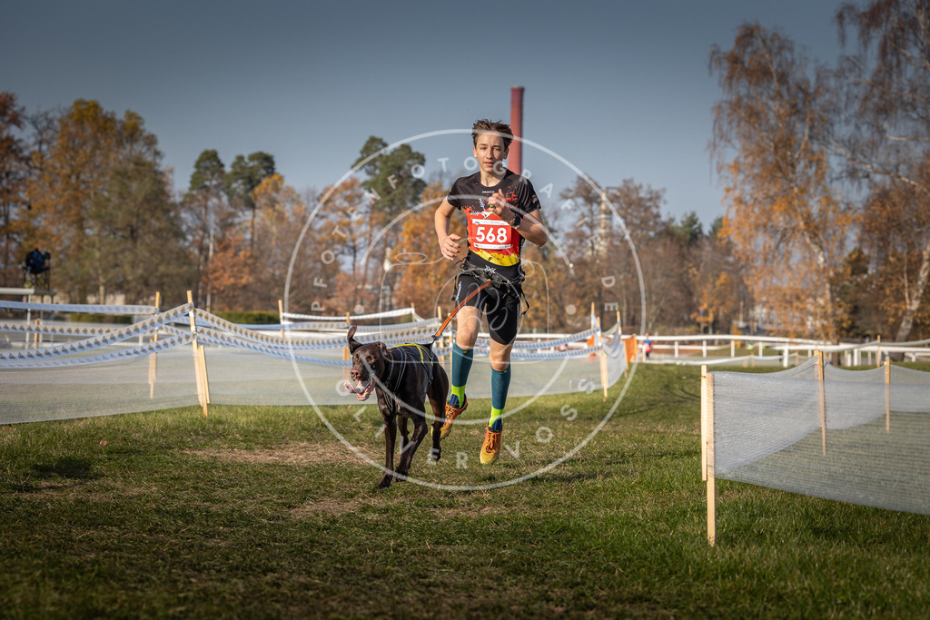 CaniXpix_0L8A9453 | Hundefotografie, Tierfotograf, Pfotenfotografie, Fotoshooting Hund, Hunde Portrait, Hundesport, Hundeportraits, Heideshooting, Hunde, Sportfotograf, Hundefotograf, Turnierhundsport, THS,  - Realisiert mit Pictrs.com