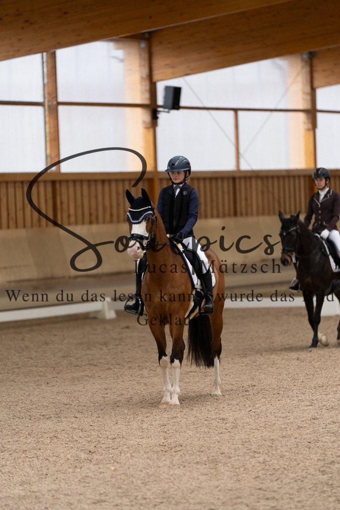 A7507079 | Pferdefotograf