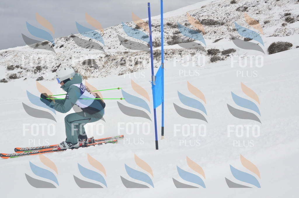 A5785 | holidayphoto