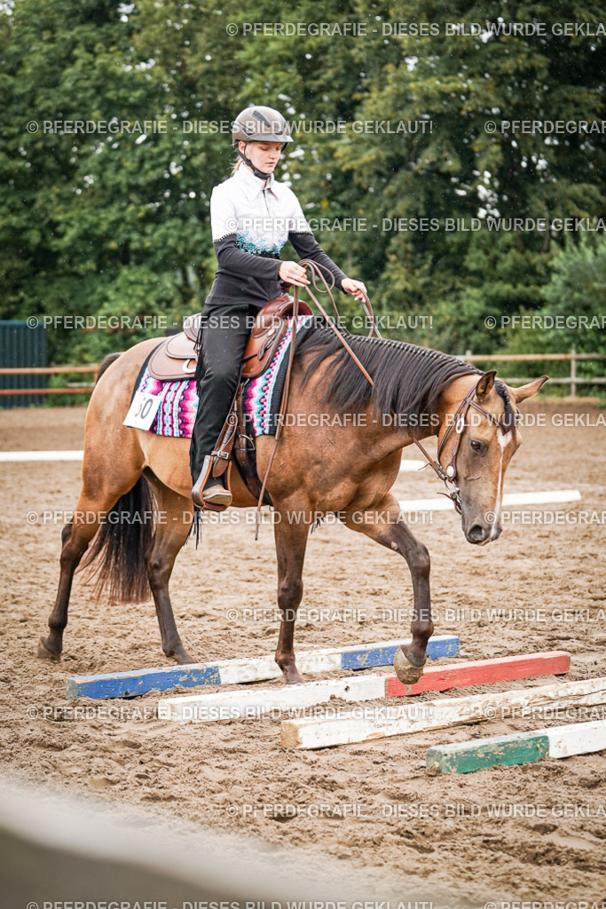 DSC04563 | Pferdegrafie