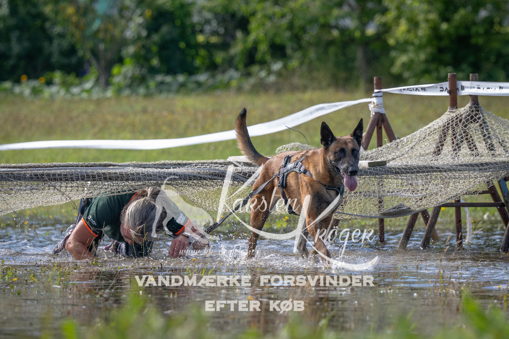 1148_ZZ91663 | kk-dogfotos