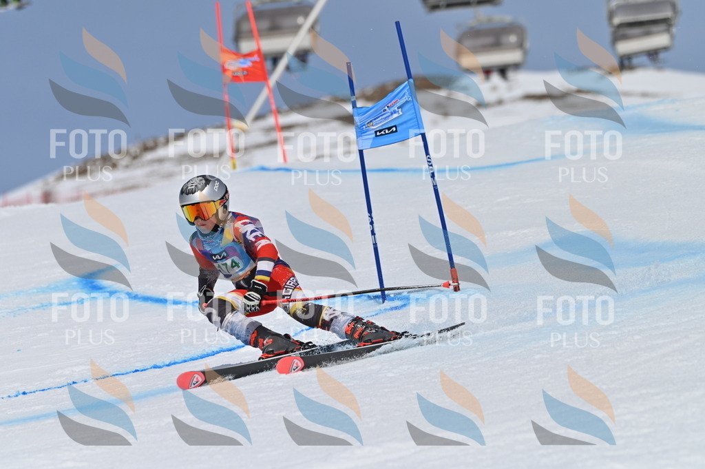 BGV_3440 | holidayphoto