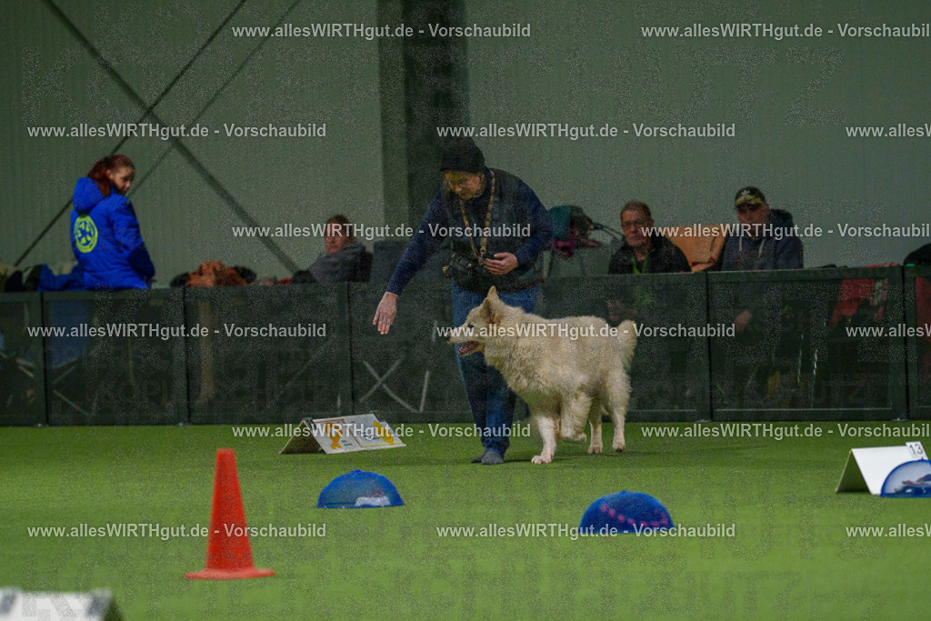 7R504218 | Professionelle Tierfotografie in Mönchengladbach von Daniel Wirth (allesWIRTHgut). Liebevolle & natürliche Bilder von Hunden & Katzen für unvergessliche Erinnerungen.