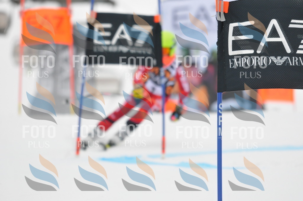 DSC_7332 | holidayphoto