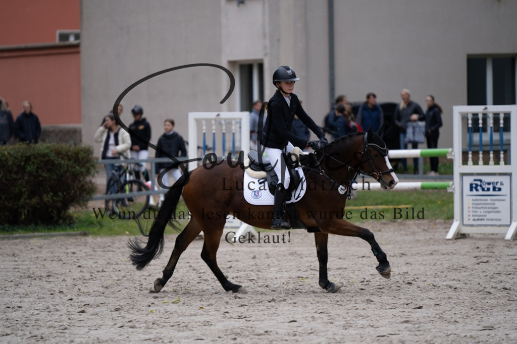 A7V08046 | Pferdefotograf