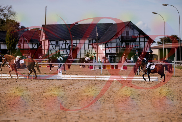 2026_10_03_Siefer-Hof_122024_Z81_20504191 | Professionelle Reitsport-, Turnier- und Eventfotografie von Robert Broda. Galerien mit ausgewählten und bearbeiteten Bildern direkt online ansehen und bestellen.