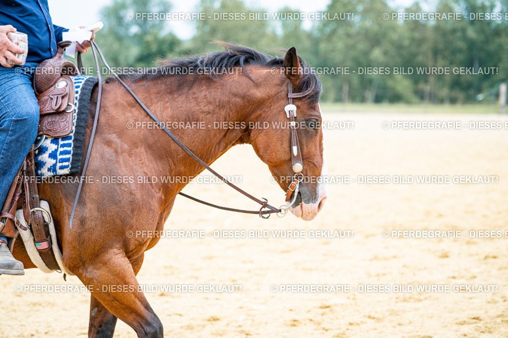 DSC06932 | Pferdegrafie