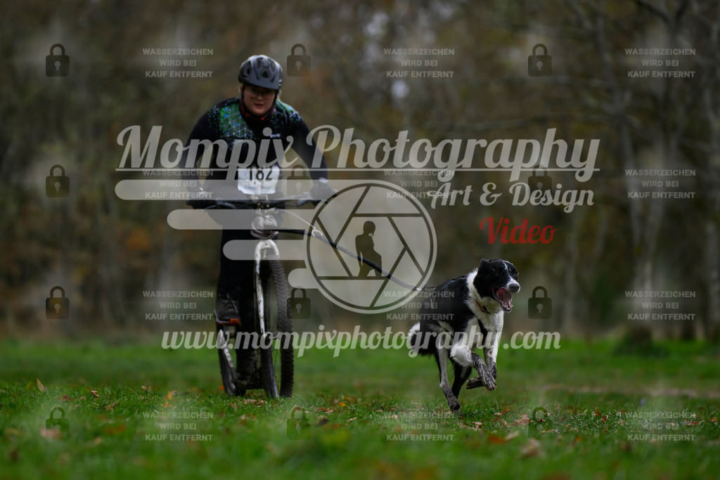 MompixPhotography_Bischwiller24_SA_DS1-35 | PayLife
