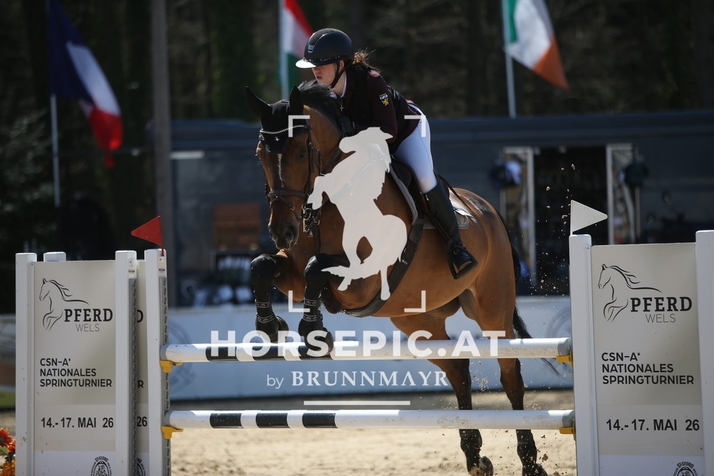 PP014472 | Willkommen bei Brunnmayr - Design & Fotografie – Ihrem Spezialisten für Reitturniere und Pferdeveranstaltungen in Oberösterreich, Salzburg und Bayern! Seit über 17 Jahren sind wir leidenschaftlich dabei.