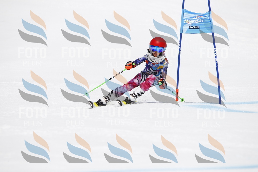 _U3G6992 | holidayphoto