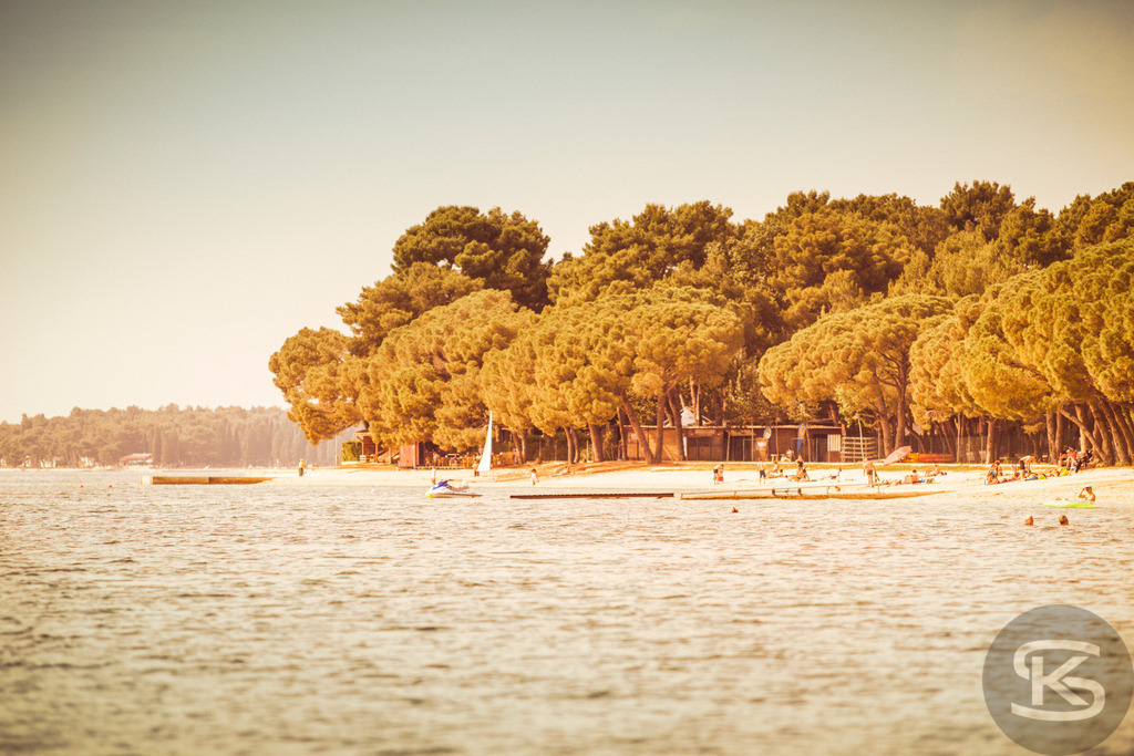 Idyllischer Sandstrand mit Pinienwald am Meer | Ein friedliches und idyllisches Bild eines Sandstrandes, gesäumt von einem dichten Pinienwald. Das warme Sonnenlicht und das ruhige Wasser schaffen eine perfekte Urlaubsatmosphäre, ideal zum Entspannen, Schwimmen und Genießen der Natur an der Küste. - Realisiert mit Pictrs.com