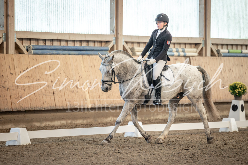 20251011-_3LI6945 | Tierfotografie Pferde, Hunde, Katzen, Haustiere.
Turnierfotografie Reitturniere, Reiten, Springreiten, Dressur in Hanau, dem Main-Kinzig-Kreis und dem Rhein-Main- Gebiet um Frankfurt