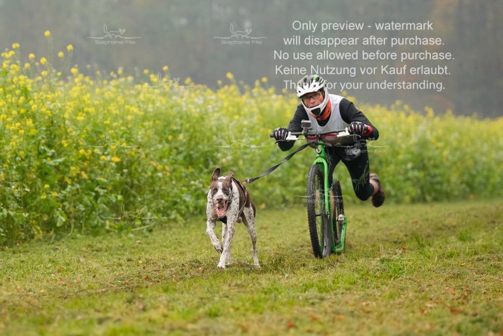 Visbeck_Sa_Scooter_Hc-25 | stephaniefillaphotographie - Realisiert mit Pictrs.com