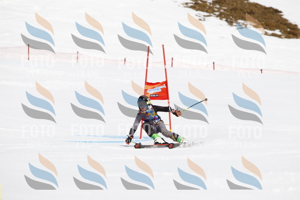 _U3G4236 | holidayphoto