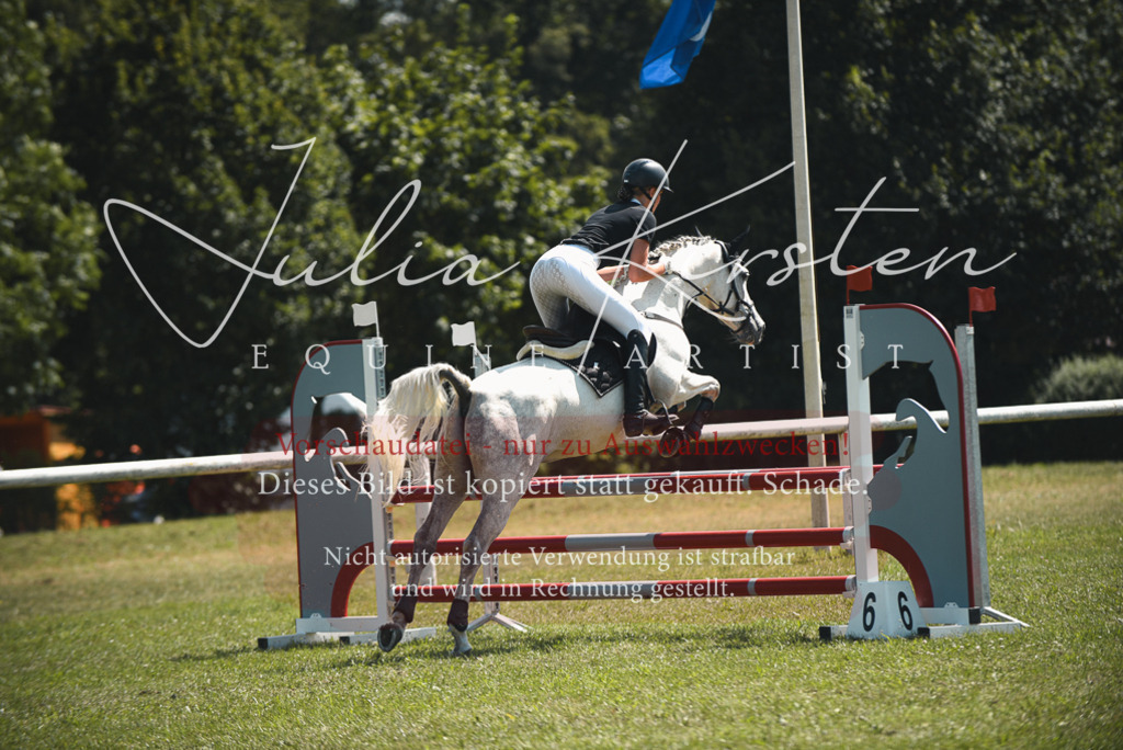 DSC_6544 | Pferde- und Turnierfotografie in Westsachsen. Pferdeportraits, Auftragszeichnungen und intuitive Kunst.